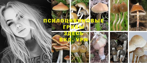 марки lsd Березники